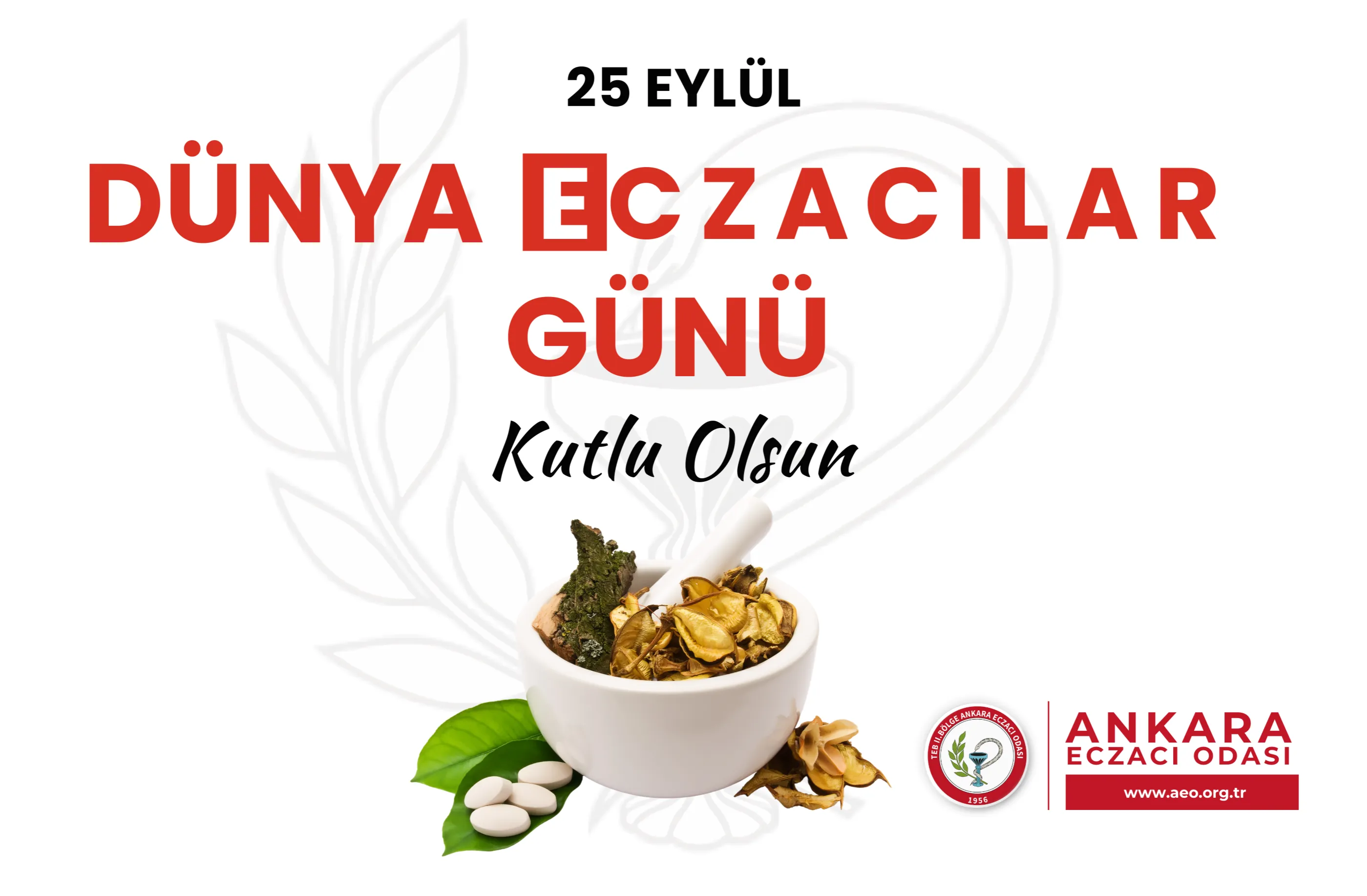 25 Eylül Dünya Eczacılar Günü Kutlu Olsun