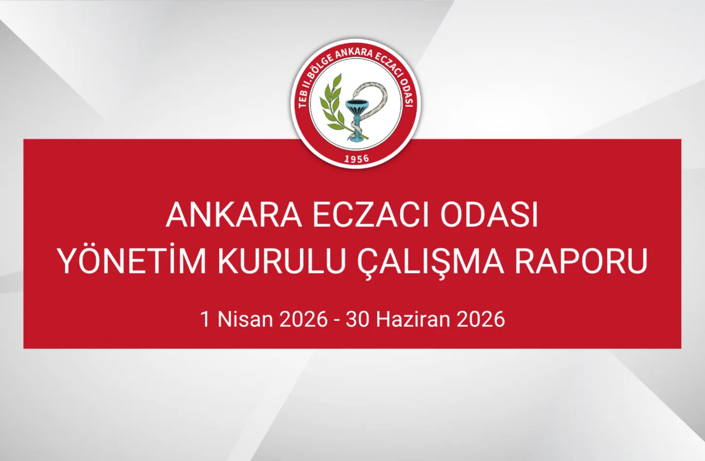 Yönetim Kurulu Çalışma Raporu Hakkında